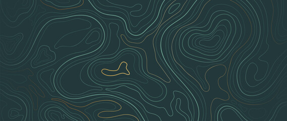 Wall Mural - luxury gold abstract line art background vector. mountain topographic terrain map background with go