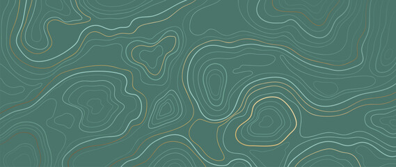 Wall Mural - luxury gold abstract line art background vector. mountain topographic terrain map background with go