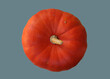 Ripe pumpkin vegetable fruit.