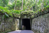 Fototapeta Londyn - Monkey Forest in Ubud, Bali, Indonesia