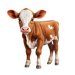 Cute clip art of a calf on transparent background PNG.