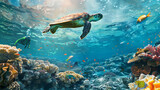 Fototapeta Do akwarium - ウミガメとサンゴ礁をダイビングする人　People diving on coral reefs with sea turtles