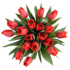 Wall Mural - isolated bouquet of red tulips, top view	