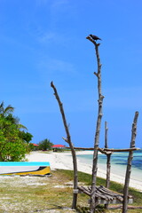 Wall Mural - Maafushi Maldives - February 2022 : Beautiful turquoise waters on a hot sunny relaxing day. 