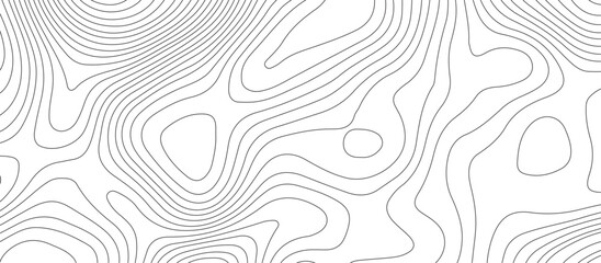 Wall Mural - Topographic map background geographic line map pattern .panorama view black color wave curve lines .geographic mountain relief abstract grid .the concept map of a conditional geography map .