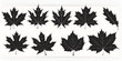 maple leaf silhouettes.  generative ai