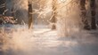 beautiful winter landscape, tree branches covered by snow, a forest in a morning haze, beautiful nature
