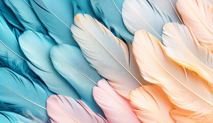 Poster - A colorful feather pattern with blue, pink, and yellow feathers. The feathers are arranged in a way that creates a sense of movement and flow. The colors and patterns evoke a feeling of freedom