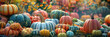 Colorful autumn pumpkins and gourds at farmer's market. Harvest and abundance