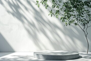 Wall Mural - empty kitchen room with podium display and concrete backdrop.