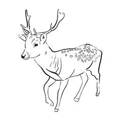 Sticker - deer Line art illustration vector