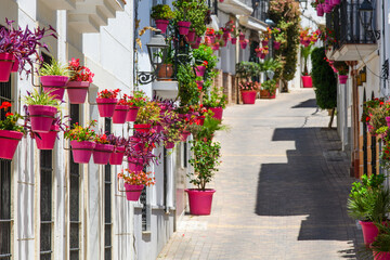  Street with pots in in Estepona, Andalusia, Spain, Europe