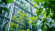 © Space_Background - Architecture a modern glass building with a lot of green plants trees and bushes for business architecture environmental friendly, design, exterior, sky, garden