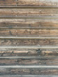 Wood texture. Background old panels