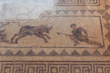 Wall Mural - Hunting scene mosaic in House of Dionysos, Archaeological Park of Paphos city, Cyprus