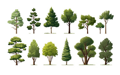 Canvas Print - forest trees set isolated vector style with transparent background illustration