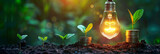 Fototapeta  - A light bulb glowing with coins and a plant growing on the ground,  financial growth concept,banner