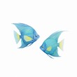 Vibrant angelfish darting their elegance and speed captured on a white canvas