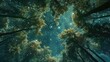 stary night looking up in forest, realistic  