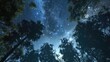 stary night looking up in forest, realistic 