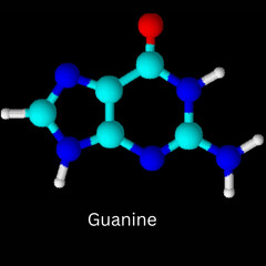 structure 3D of Guanine 