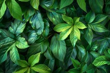 Fresh Green Foliage Texture With Lush Leaves And Natural Patterns, Digital Photography