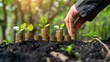 Hand placing coins with plants sprouting from them represents investment growth and eco-friendly finance