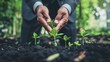 Blurred image of a businessman planting sprouts, conveys the idea of cultivating opportunity and growth
