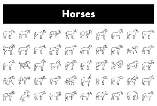 Vector illustration of a set of horse icons on white background