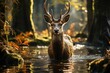 Majestic deer in the forest, in perfect tune with nature., generative IA