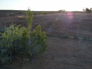 Sticker - Canyon de Chelly en Arizona