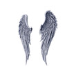 A pair of folded angel wings.