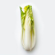endive, vegetable, food, flower, chicory, endive, plant, white, fresh, nature, isolated, healthy, spring, nutrition, raw, diet, organic, ingredient, zucchini, garden, leaf, bloom, macro, flowers, fenn