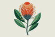 banksia flower on stem hand drawn vector illustration