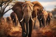 African elephant in harmony with his group., generative IA