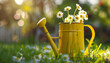 yellow watering can with chamomiles on grass on blurred nature background