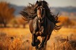 Black horse galloping in the field open to sunset., generative IA