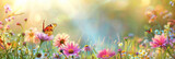 Fototapeta Na sufit - Beautiful spring meadow  background with grass, flowers and butterflies on a sunny day.  pink daisies and a purple butterfly in the sunlight. Spring concept banner design. Easter day. 