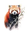 Watercolor illustration of a red panda isolated on white background.