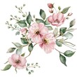 Elegant clipart of blooming pink flowers and green foliage in watercolor, set against a pure white backdrop for bespoke projects