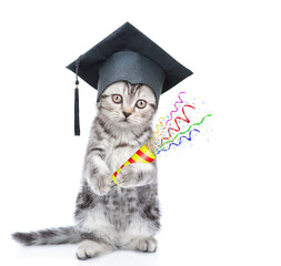 Poster - Graduated cat wearing tie bow stands on hind legs. isolated on white background