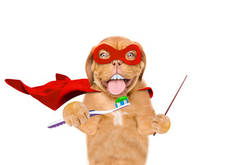 Poster - Happy Mastiff puppy with big funny teeth wearing superhero costume holds toothbrush in it paw and points away on empty space. isolated on white background