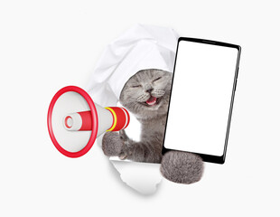 Poster - Happy cat wearing chef's hat shows smartphone with white blank screen in it paw, looking through the hole in white paper meowing into the megaphone