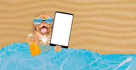 Poster - Funny Mastiff puppy at beach applying suntan lotion or sun block and showing big smartphone with white blank screen in it paw. Empty space for text