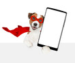 Happy Mastiff puppy wearing superhero costume shows big smartphone with white blank screen in it paw above empty white banner. Isolated on white background