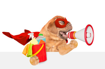 Poster - Funny Mastiff puppy wearing superhero costume  holding bucket with washing fluids and barking into the megaphone above white banner.  Isolated on white background. Empty space for text