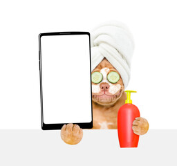 Poster - Mastiff puppy with towel on it head with pieces of cucumber on it eyes and with cream on it face holds smartphone with white blank screen in it paw above empty white banner. isolated on white