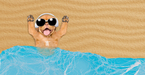 Poster - Happy Mastiff mastiff puppy wearing sunglasses headphones lying at sunny beach. Empty space for text