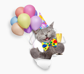 Aufkleber - Happy cat wearing party cap holding balloons and glass of champagne, looking through the hole in white paper