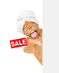 Poster - Funny Mastiff puppy with big fake teeth, with towel on it head looks from behind the shower curtain in the bathroom at home and shows signboard with labeled 